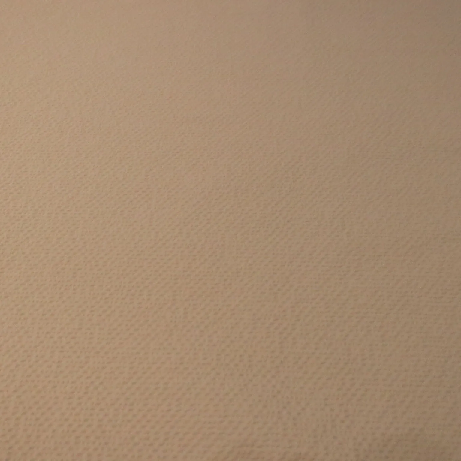 Beige Seersucker Cotton Ariston Fabric