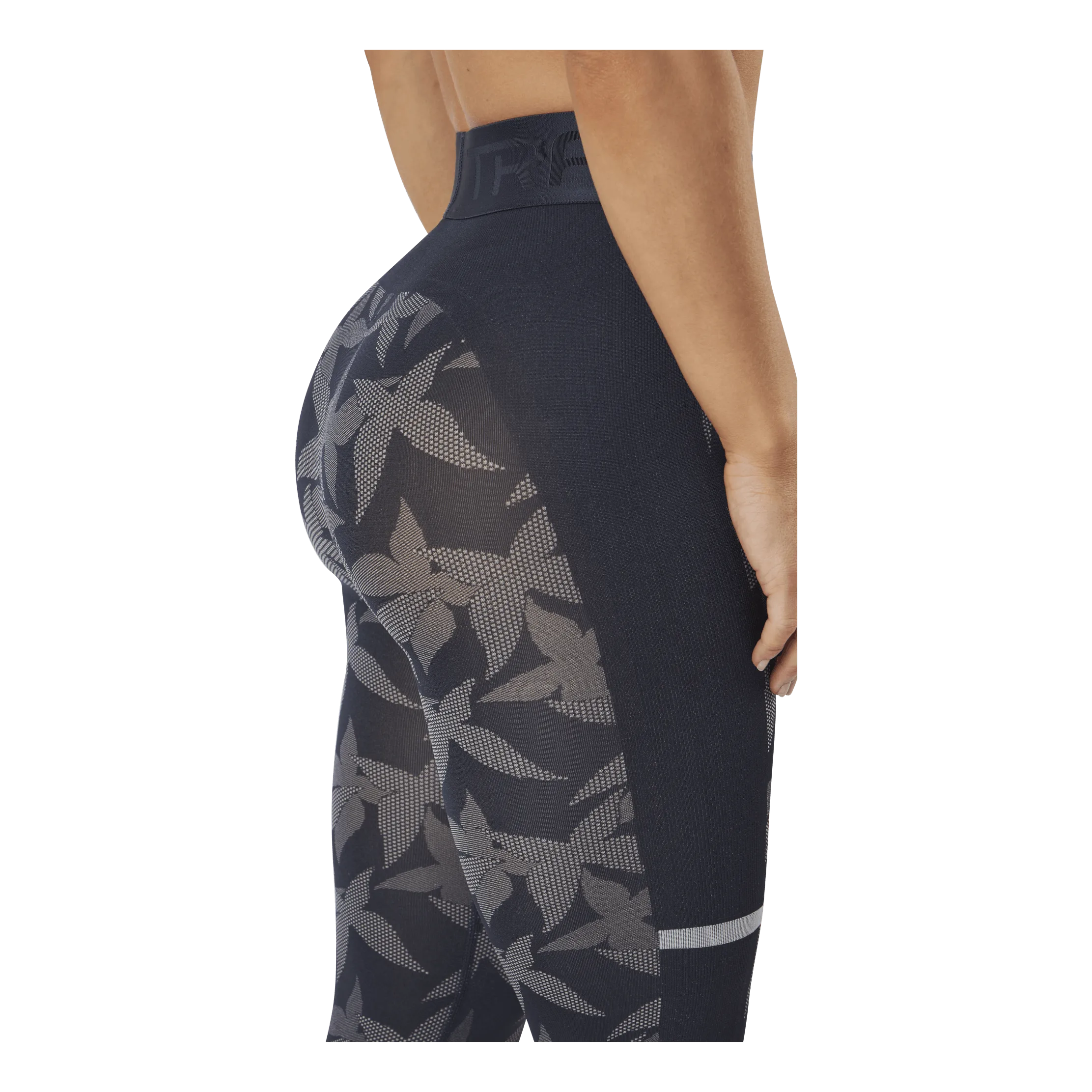 Butterfly Capri Blue