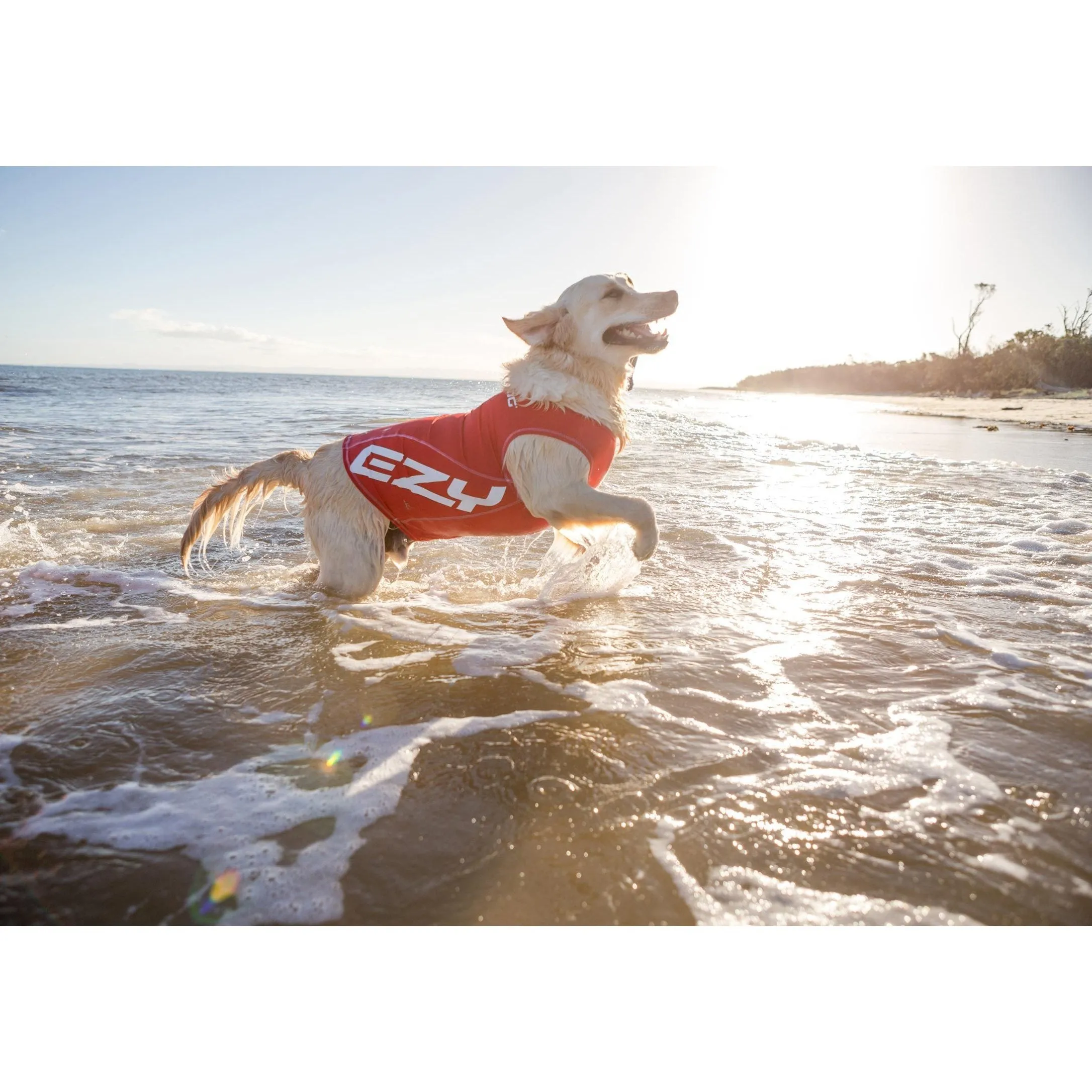 EzyDog Dog Rashie 50  UV Small