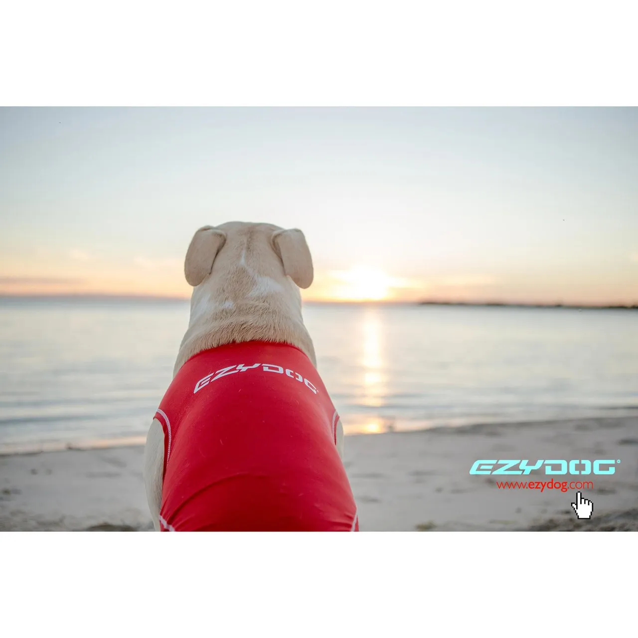 EzyDog Dog Rashie 50  UV Small