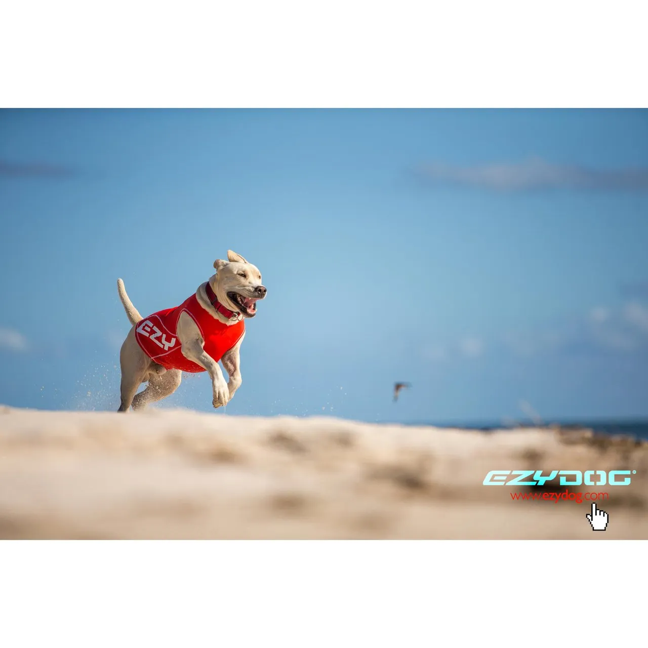 EzyDog Dog Rashie 50  UV Small
